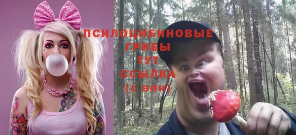 PSILOCYBIN Магас