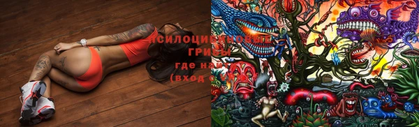 PSILOCYBIN Магас