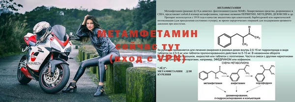 крисы Магадан